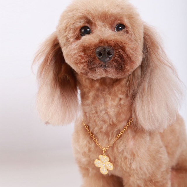 フォーチューンクローバー DOGネックレス（ゴールド色）