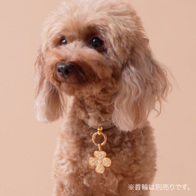 犬用ネックレス•クローバー フォーチューンクローバー DOGネックレス（ゴールド色）