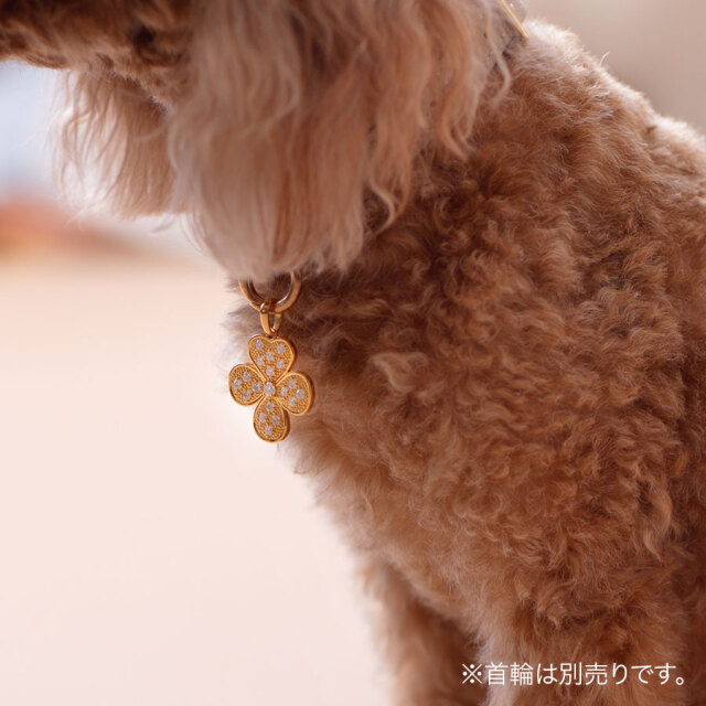 フォーチューンクローバー DOGネックレス（ゴールド色）