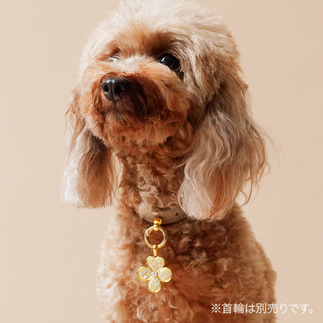 フォーチューンクローバー DOG&オーナー ネックレスセット（ゴールド色