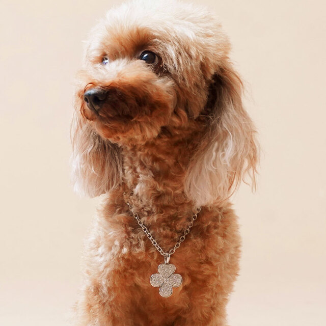 フォーチューンクローバー DOG&オーナー ネックレスセット（ゴールド色