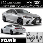 1/24 LEXUS ES300h（カスタム品） 1/24 レクサス ES300h（カスタム品） - メルカリ