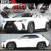 レクサス(LEXUS) UX 専門カスタムパーツカタログ サスペンションページ