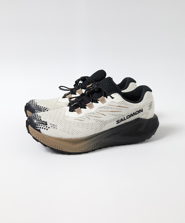 サロモン/salomon   AERO BLAZE 4 GRVL GTX VANILLA ICE