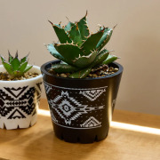 PENDLETON｜MAPS 通販 【正規取扱店】