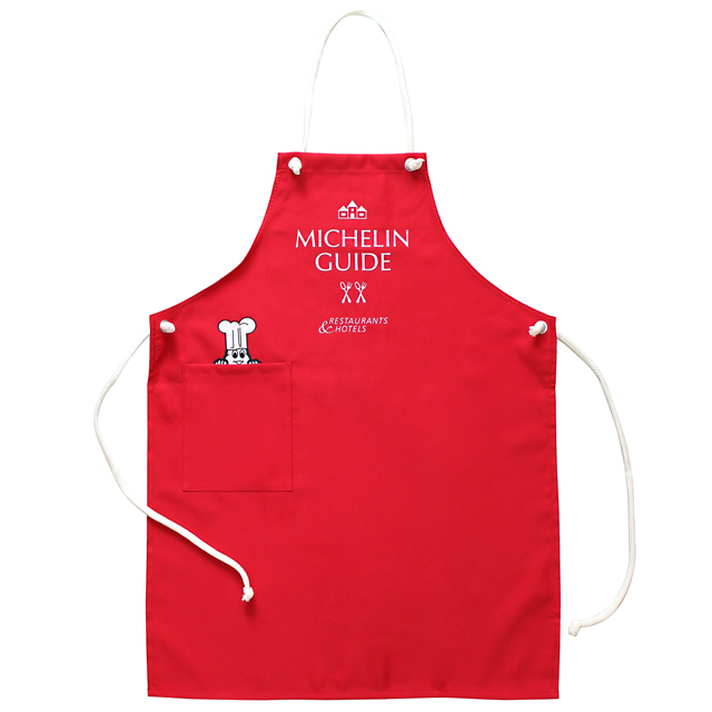 Ａｐｒｏｎ/Ｍｉｃｈｅｌｉｎ　Ｇｕｉｄｅ（２２２４６７）【ネコポス便可】