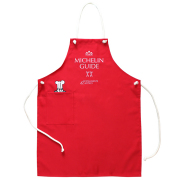 Ａｐｒｏｎ/Ｍｉｃｈｅｌｉｎ　Ｇｕｉｄｅ（２２２４６７）【ネコポス便可】