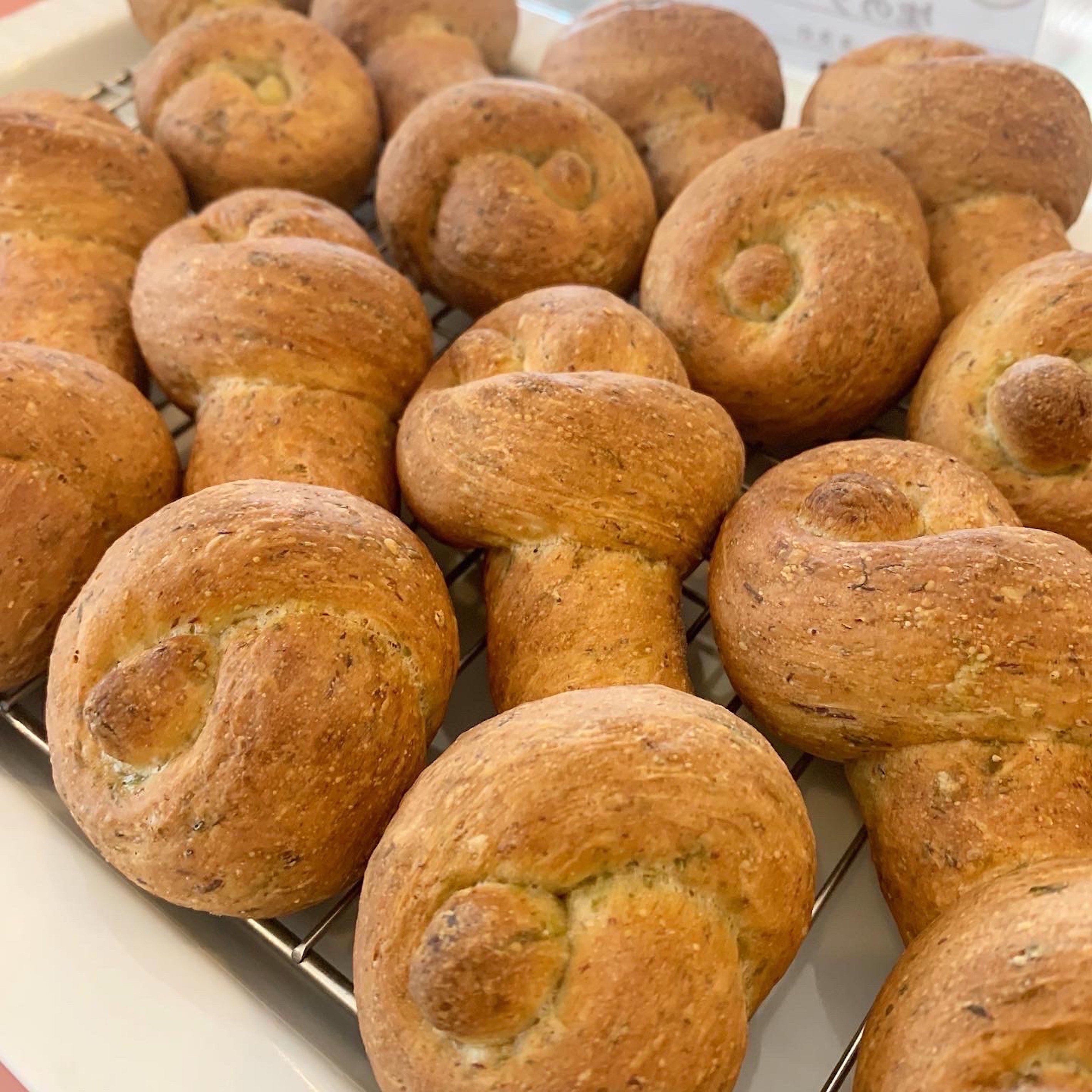 わんパン