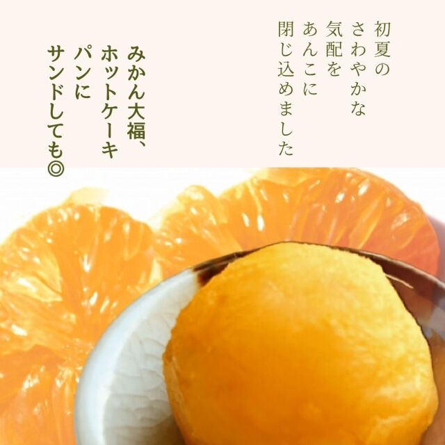 初夏のおすすめ3種セット4