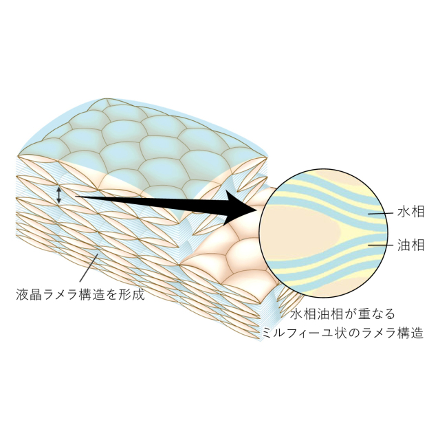 液晶ラメラ構造を形成