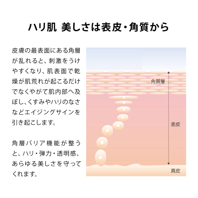 《新発売》セラナノ化粧水4 『ハリ肌』『均一感』『透明感』30代からのエイジングケア 保湿型ビタミンC誘導体配合 バリア機能強化 しなやかにハリ ツヤ 【150mL】 ハリ肌 美しさは表皮・角質から