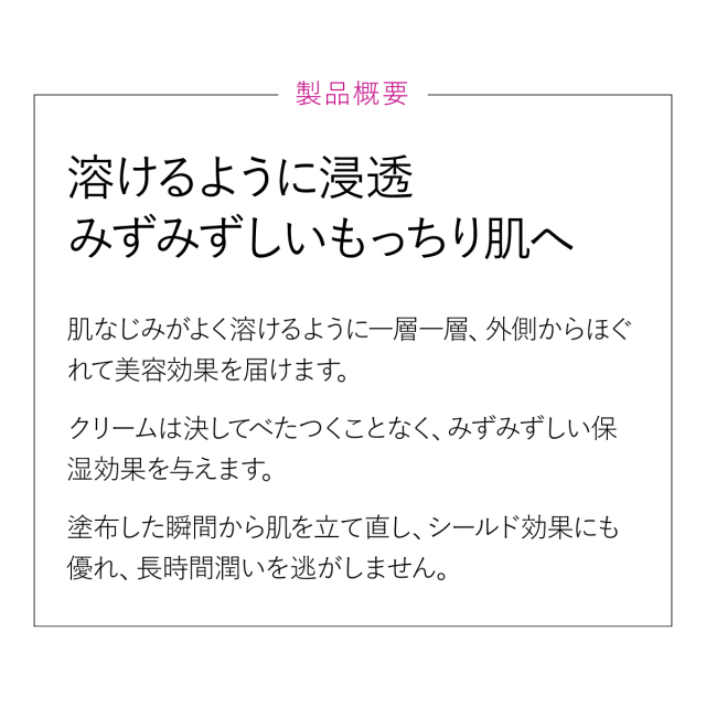 製品概要