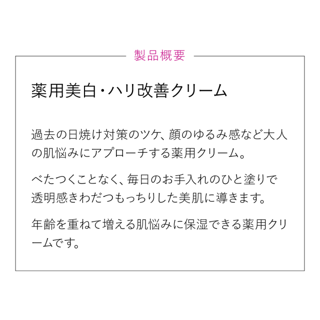 製品概要