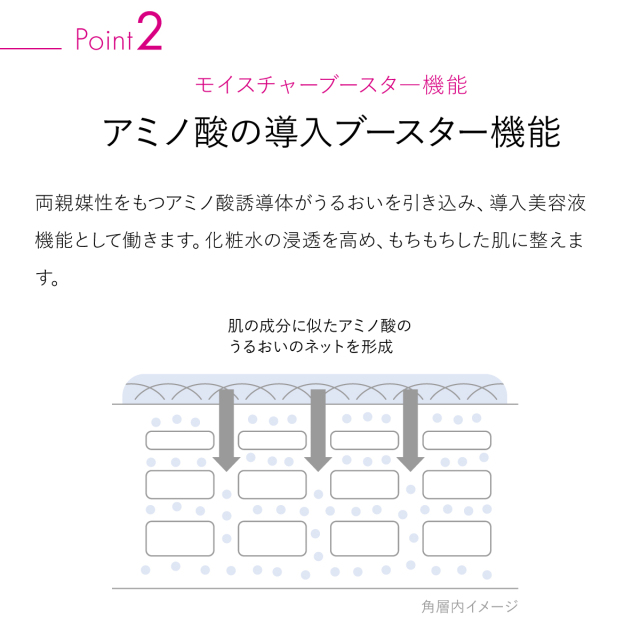 アミノ酸の導入ブースター機能