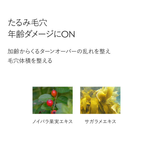 たるみ毛穴 年齢ダメージにON