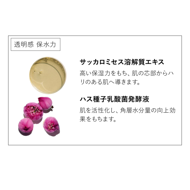 Momo ICD セラム単品+クリーム セラミエイド 薬用スキンクリーム 140g 【医薬部外品