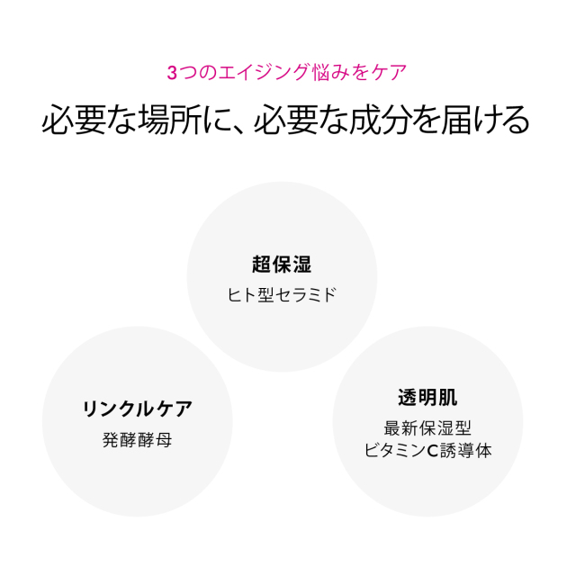 必要な場所に、必要な成分を届ける