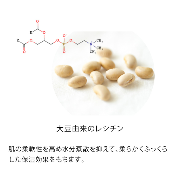 大豆由来のレシチン