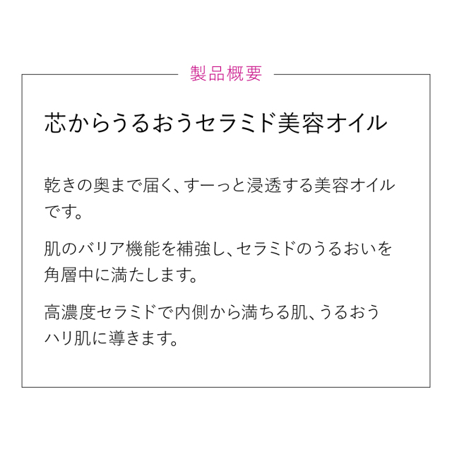 製品概要