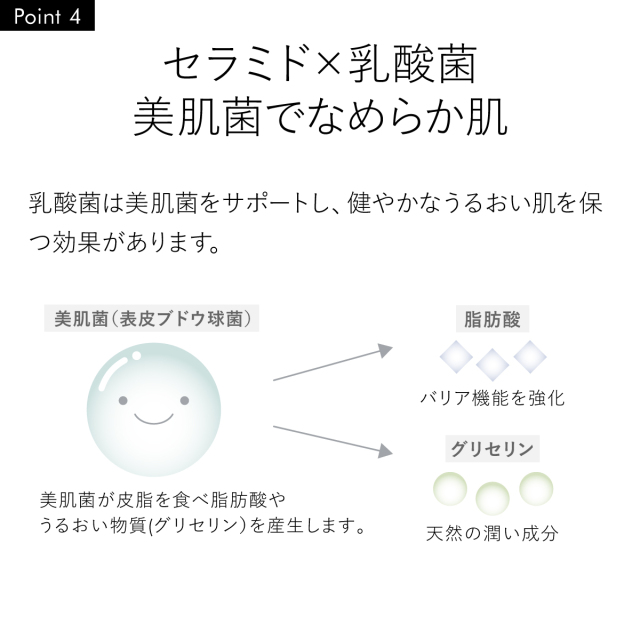 セラミド×乳酸菌 美肌菌でなめらか肌