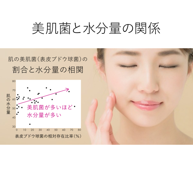 美肌菌と水分量の関係