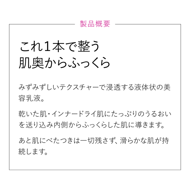 製品概要