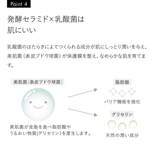 発酵セラミド×乳酸菌は肌にいい