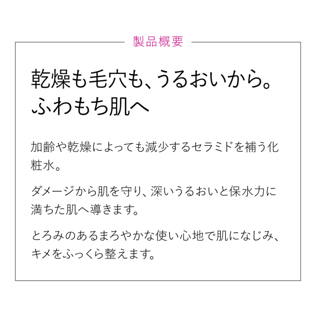 製品概要