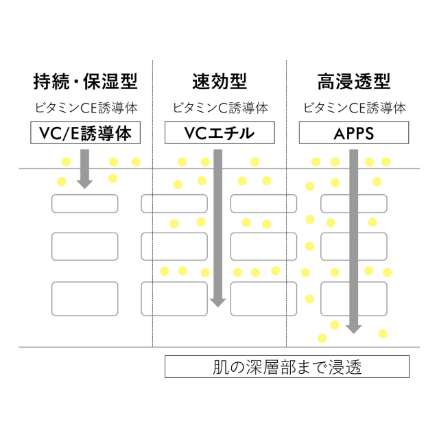 肌の深層部まで浸透
