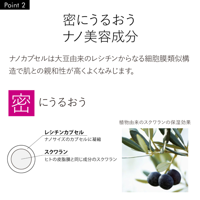 密にうるおう ナノ美容成分