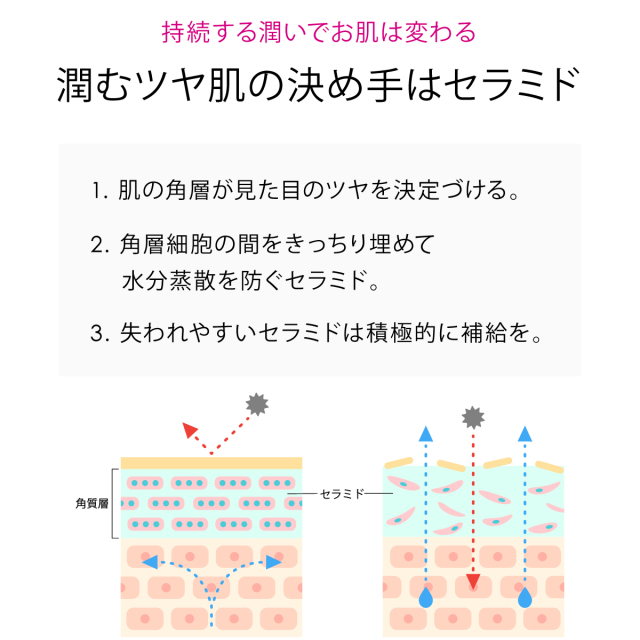 潤むツヤ肌の決め手はセラミド