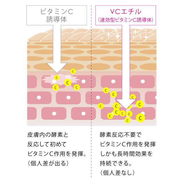 ビタミンC誘導体、VCエチル