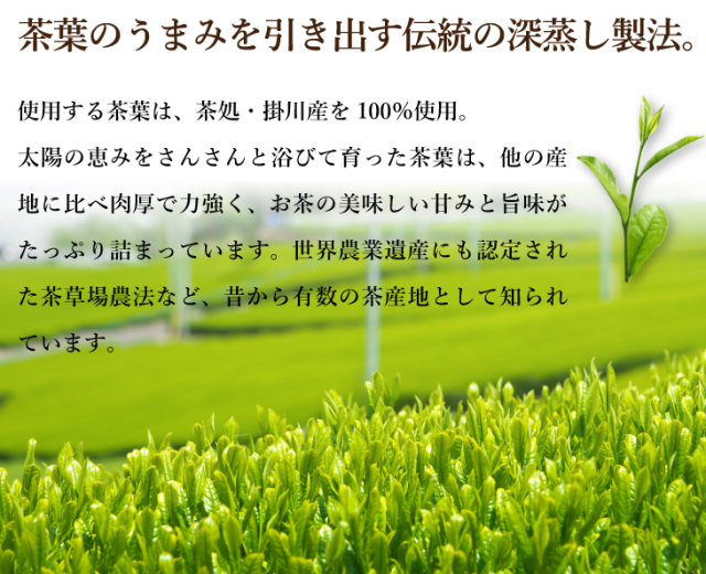 【専用】茶畑直販☆特上煎茶6本(令6年産)深蒸し茶 緑茶 日本茶 お茶 専用】茶畑直販☆上煎茶100gx6本(令6年産)深蒸し茶 緑茶日本