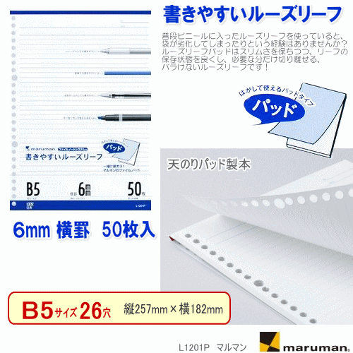 ルーズリーフB5