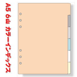 システム手帳 リフィル A5 カラーインデックス 横型 6区分 デスクサイズ 6穴 レフィル 6山 ダヴィンチ DAR506 【ネコポス便対応】