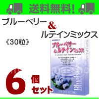 ブルーベリー＆ルテインミックス６個