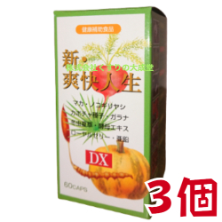 新 爽快人生DX