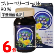 ブルーベリーゴールド6個