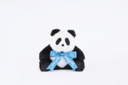 【11月販売開始】ananパンダぬいぐるみ 2026