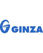 GINZA 月払定期購読