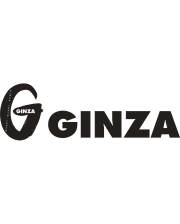 GINZA 1年定期購読 12冊