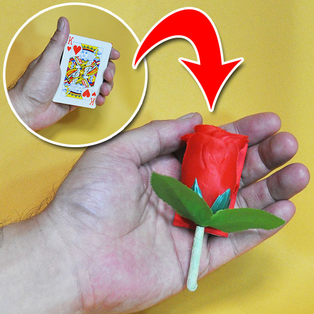 C5055 ロッキング カードトゥローズ