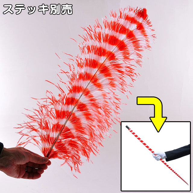 F2205 ケーン用フェザー（紅白）