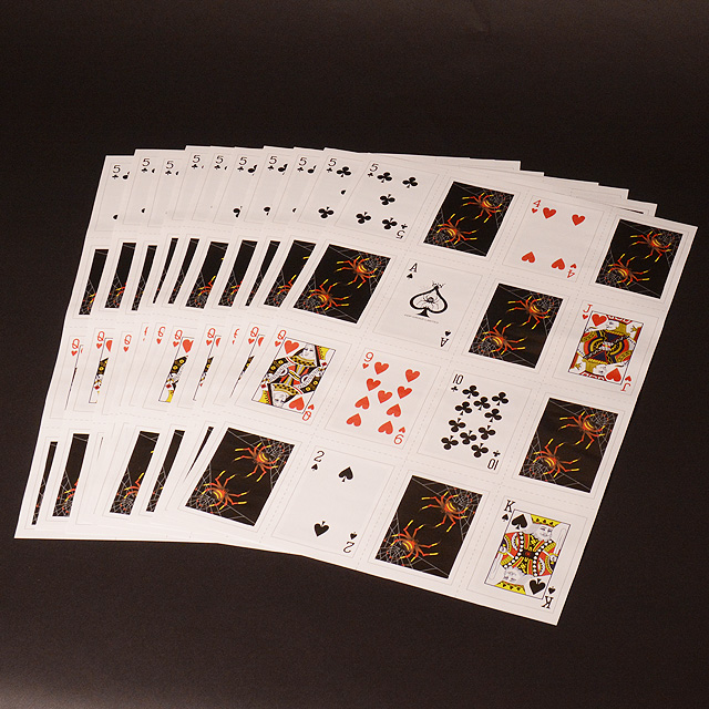 P4011 DPG ショッキングカードシート