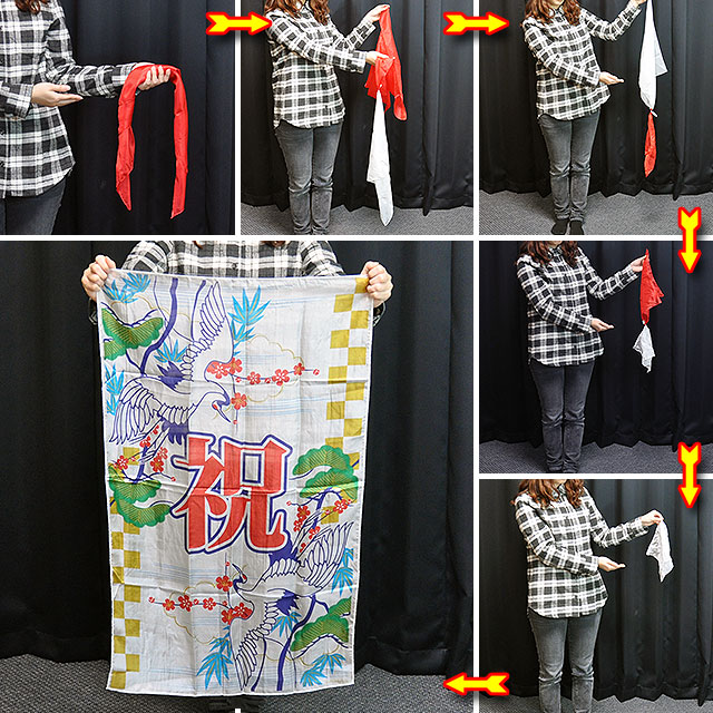 S8325 小さくなるシルクプロダクション+（祝） 特上品