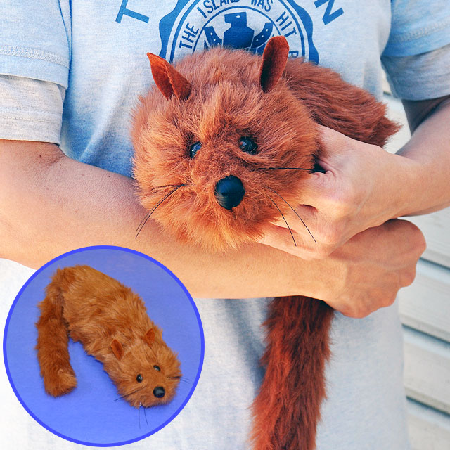 Z1111 アクションアニマル