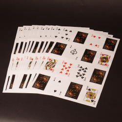 P4011 DPG ショッキングカードシート