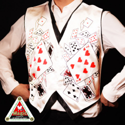 T6804C DPG カラーチェンジベスト用 クライマックスカバー（トランプ）