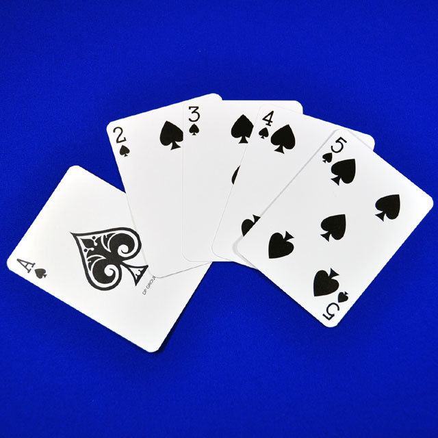 C6166 忍者カード