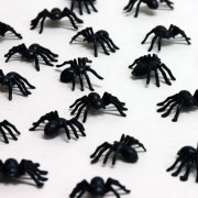 I3224 恐怖のスパイダー